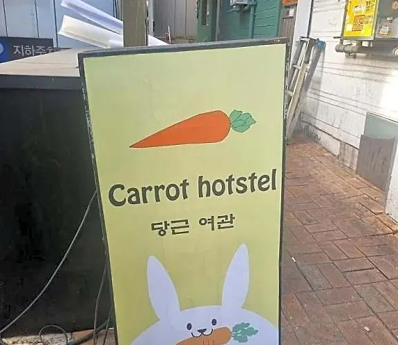 Carrot Seul